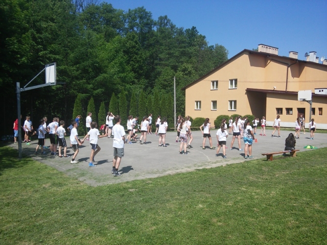obraz-3