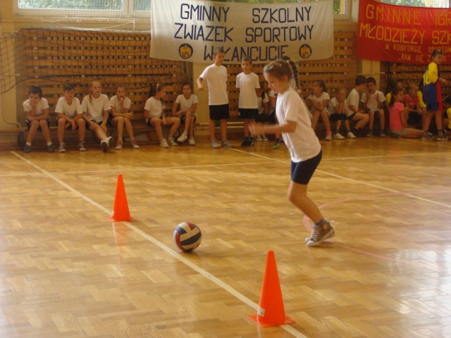 obraz-6