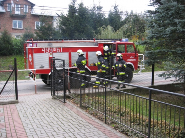 obraz-2