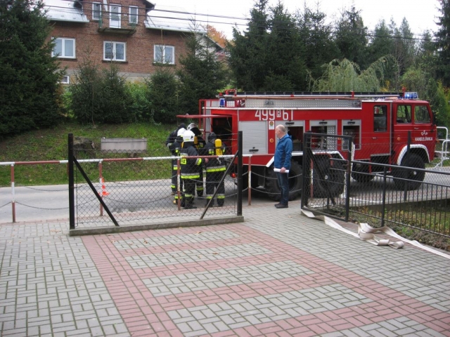 obraz-8