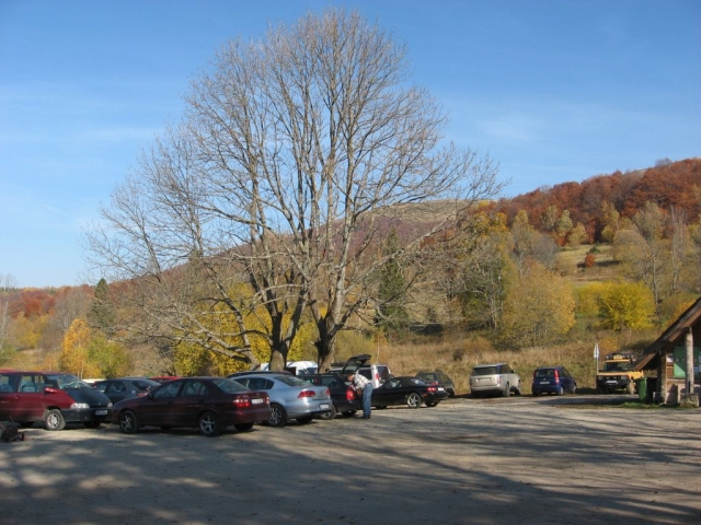 obraz-9