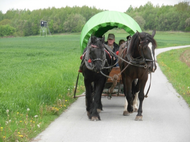 img-10
