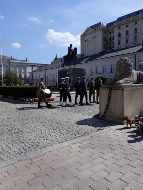 img-51