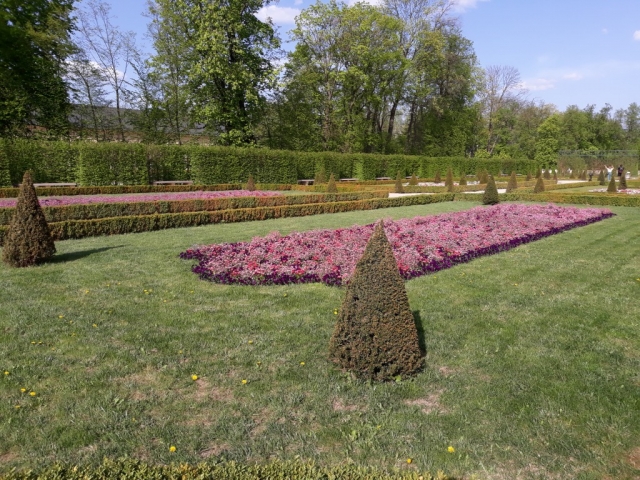img-71