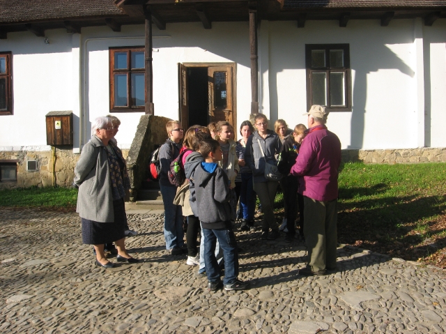 Sanok-1