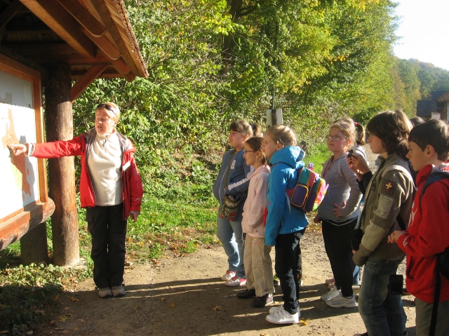 Sanok-2